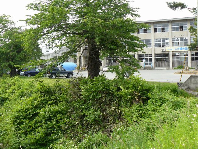 ���ԑ�㊯�w��