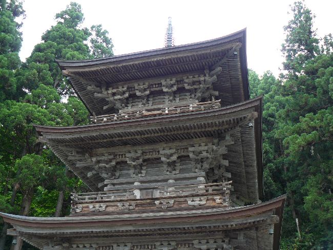 �������F �O�d��