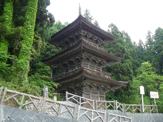 �������F �O�d��