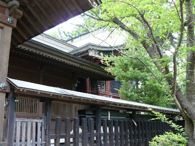 ���͍]�����{