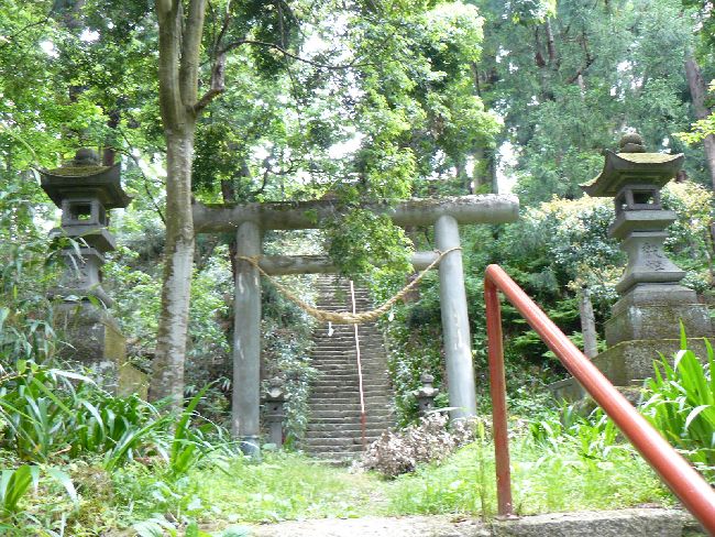 �����_��