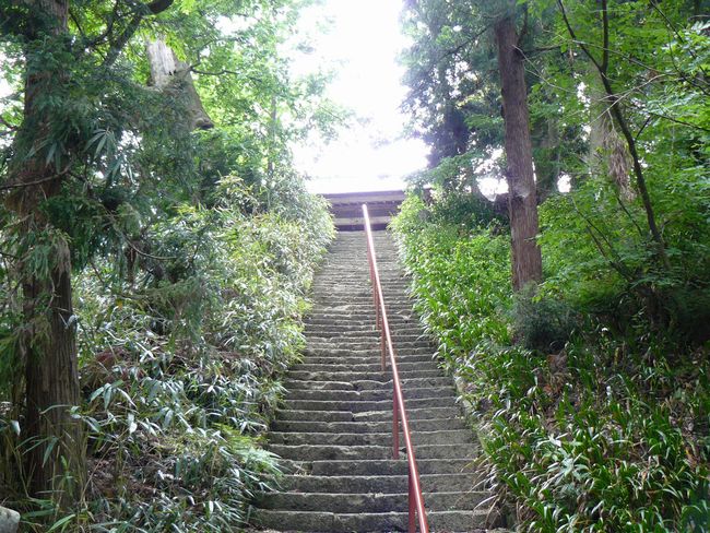 �����_��