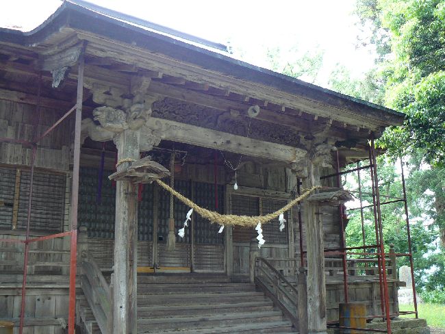 �����_��