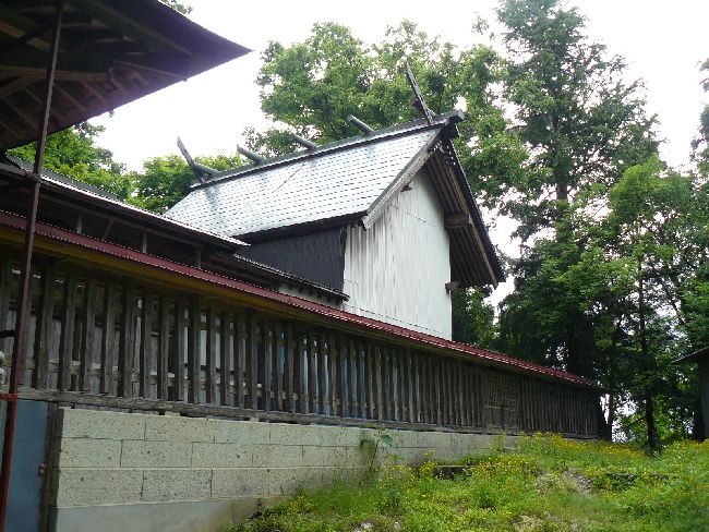 �����_��