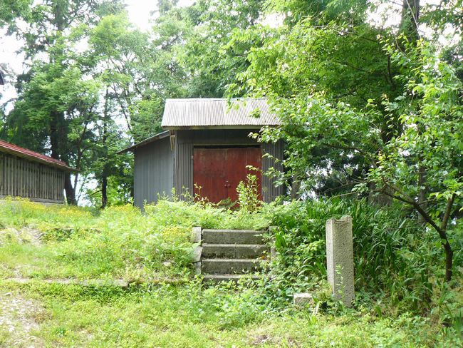 �����_��