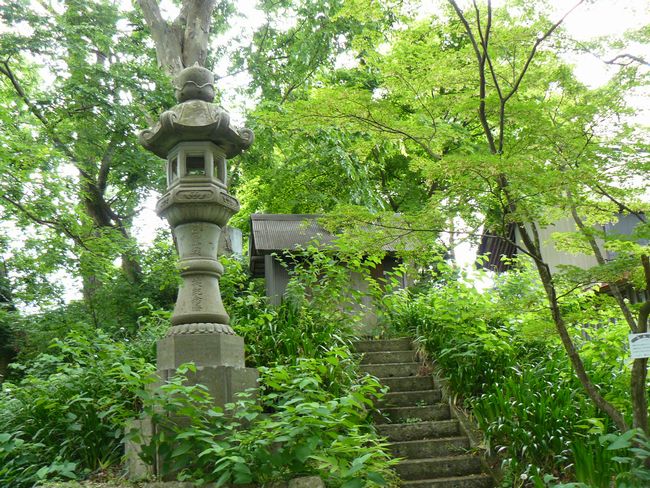 �����_��