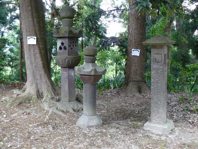 �����_��