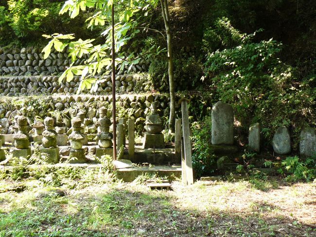 �V�����X��̕�