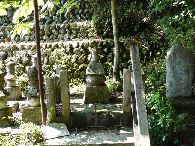 �V�����X��̕�