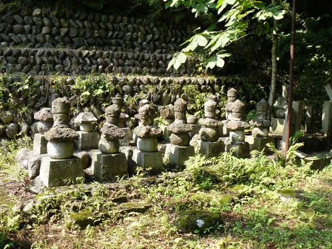 �V�����X��̕�