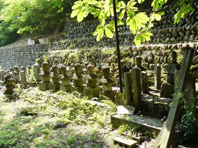 �V�����X��̕�