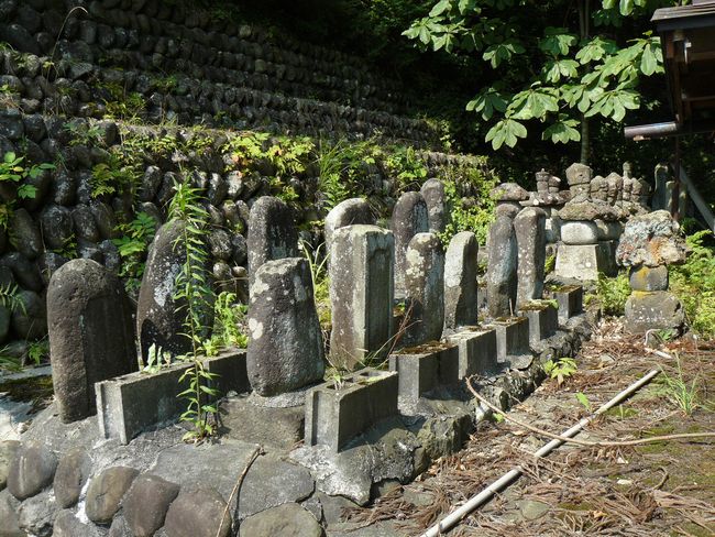 �V�����X��̕�