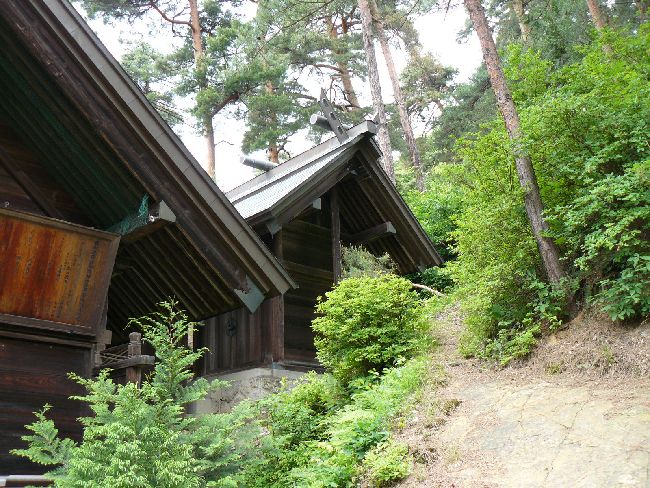 ���M�_��