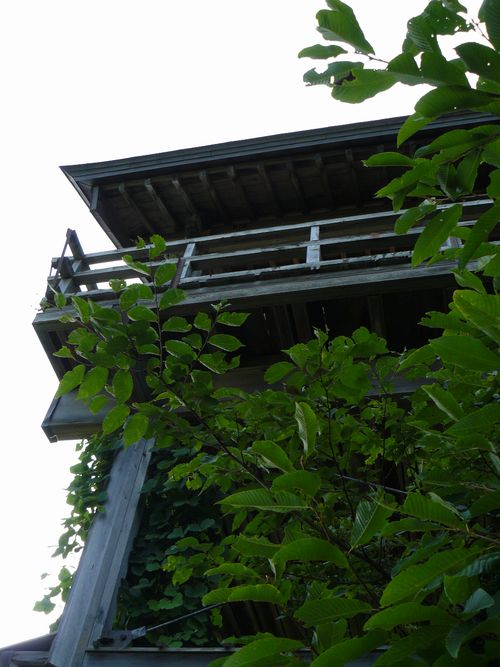 �R�����Ύ��F �ܑ哰