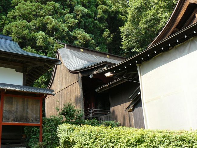 �R�����Ύ��F ���}�_��