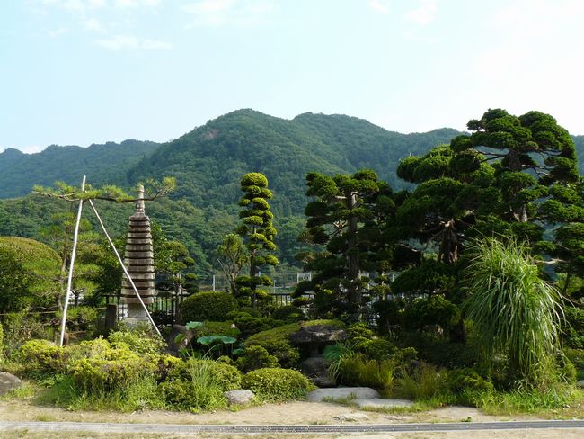 �R�����Ύ��F�{�V