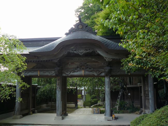 �R�����Ύ��F�{�V