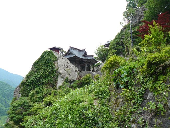 �R�����Ύ��F�J�R��