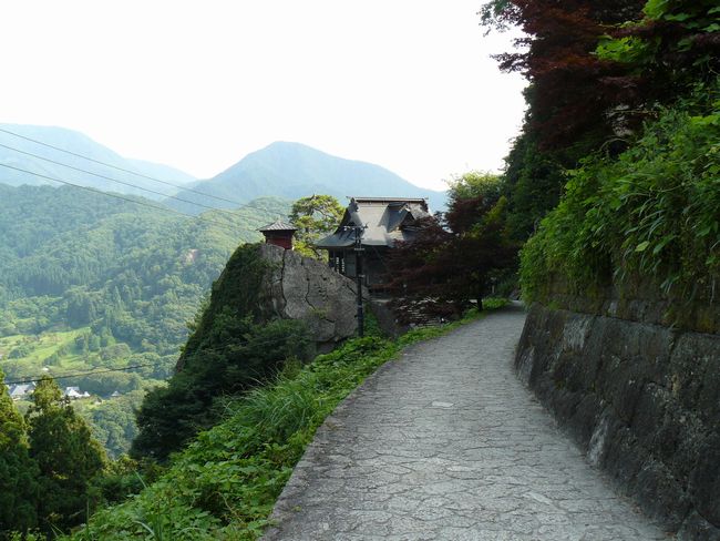 �R�����Ύ��F�J�R��