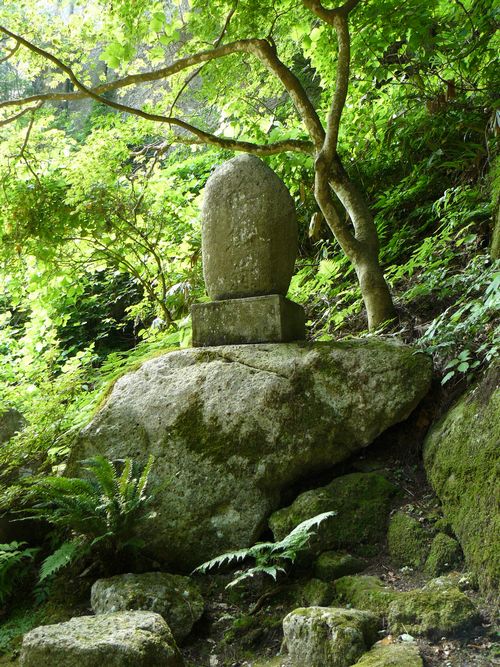 �R�����Ύ��F���ݒ�