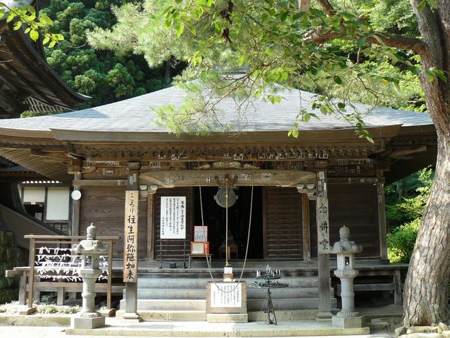 �R�����Ύ��F��s�O����