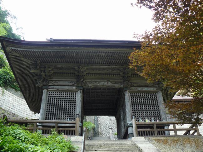 �R�����Ύ��F�m����