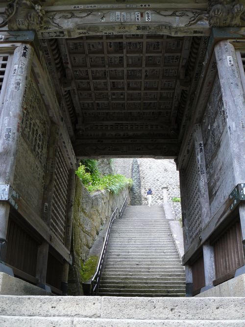 �R�����Ύ��F�m����