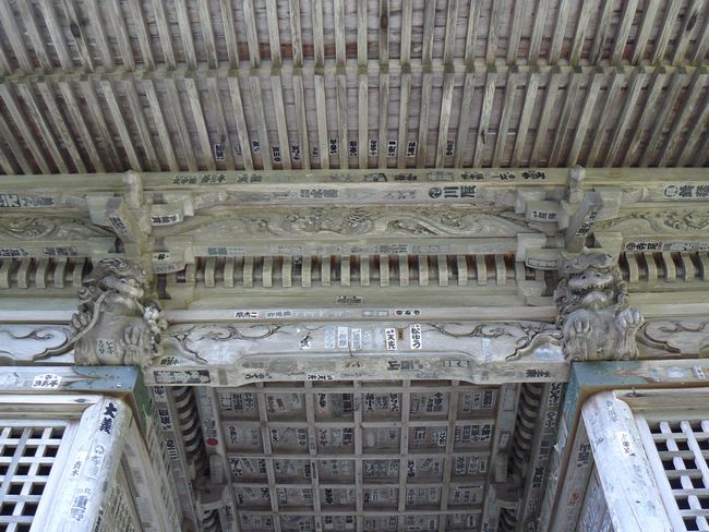 �R�����Ύ��F�m����