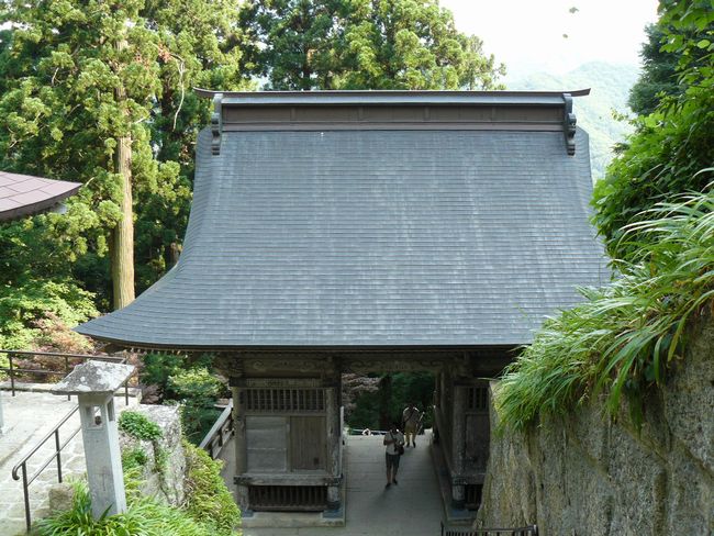 �R�����Ύ��F�m����