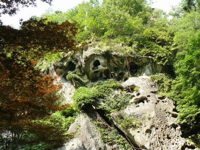 �R�����Ύ��F�m����