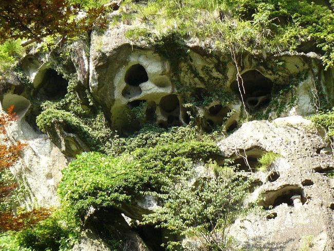 �R�����Ύ��F�m����