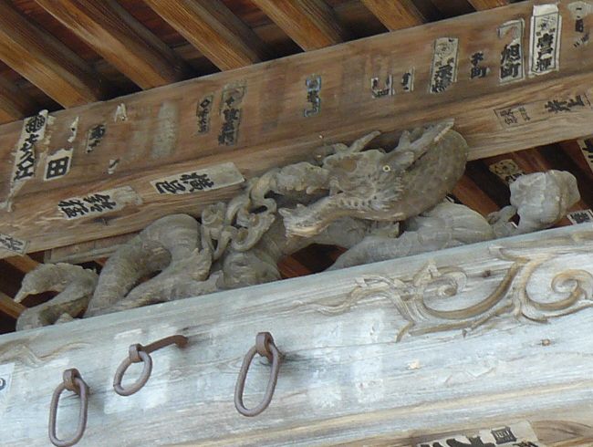 �R�����Ύ��F���̉@