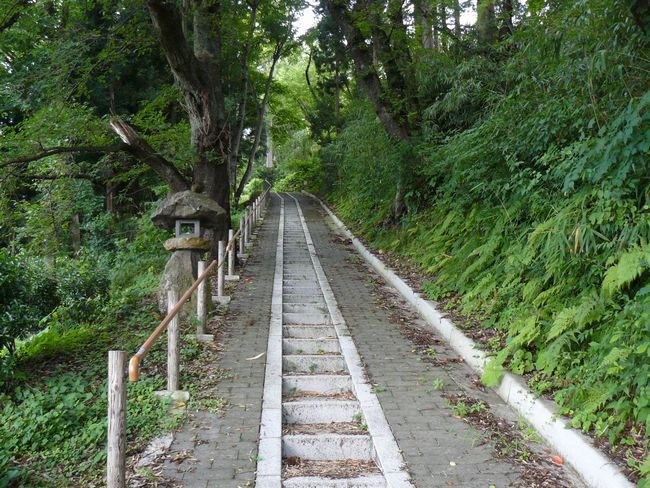 ���J����