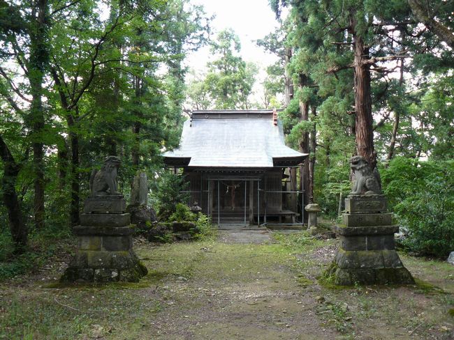 ���J����