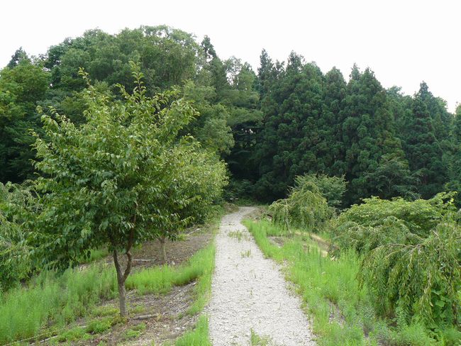 ���J����