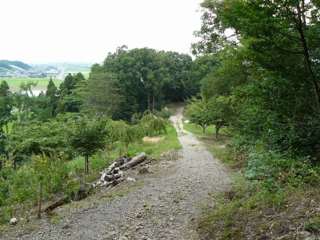 ���J����