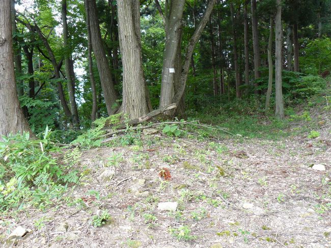 ���J����