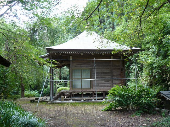 ���J����