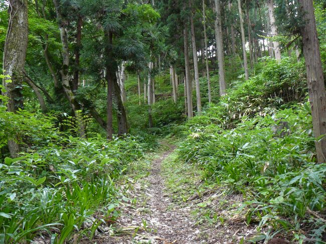 ���J����