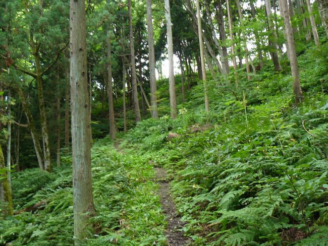 ���J����