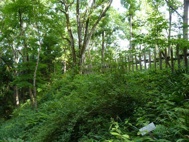 ���J����