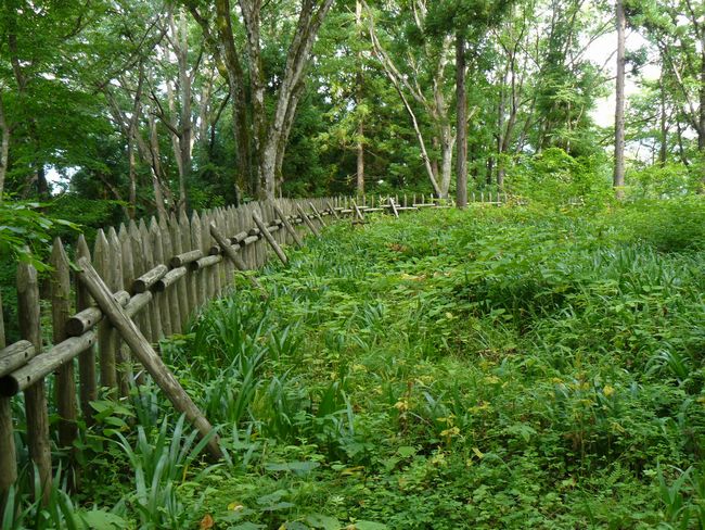 ���J����