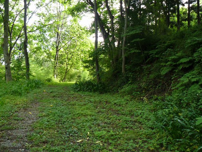 ���J����