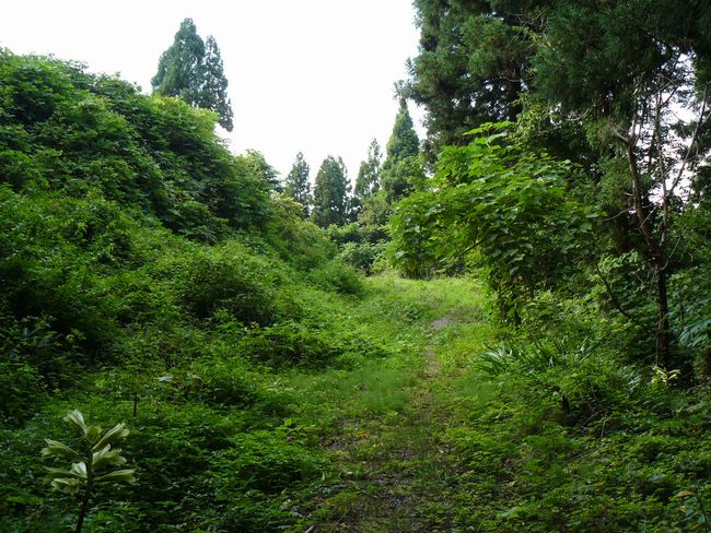 ���J����