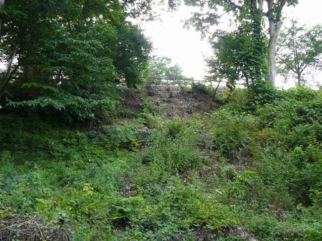 ���J����