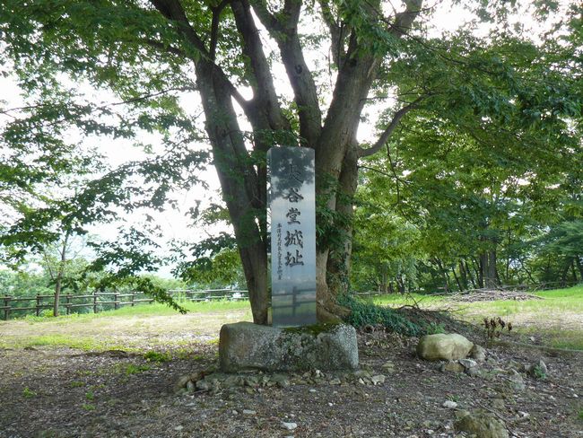 ���J����