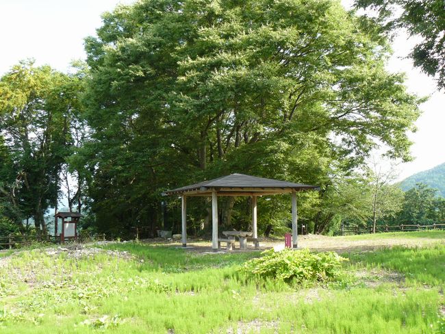 ���J����