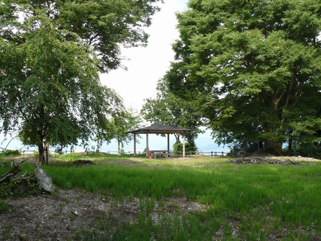 ���J����