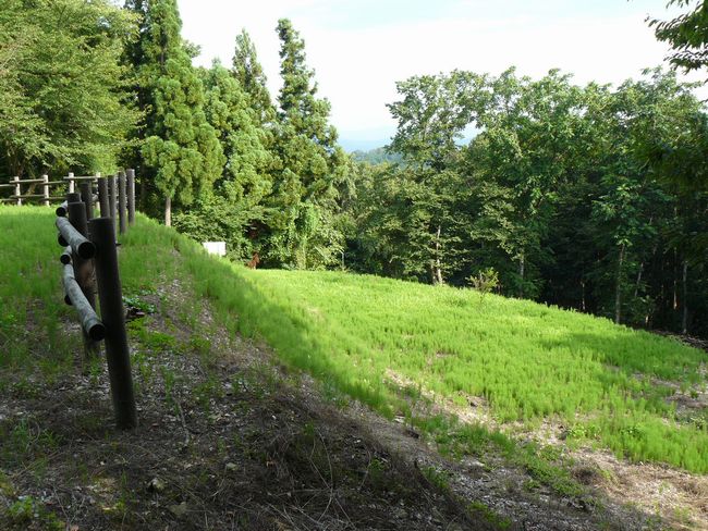 ���J����