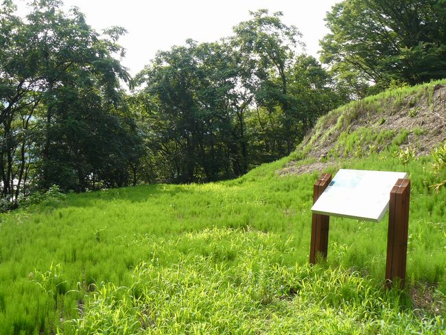 ���J����